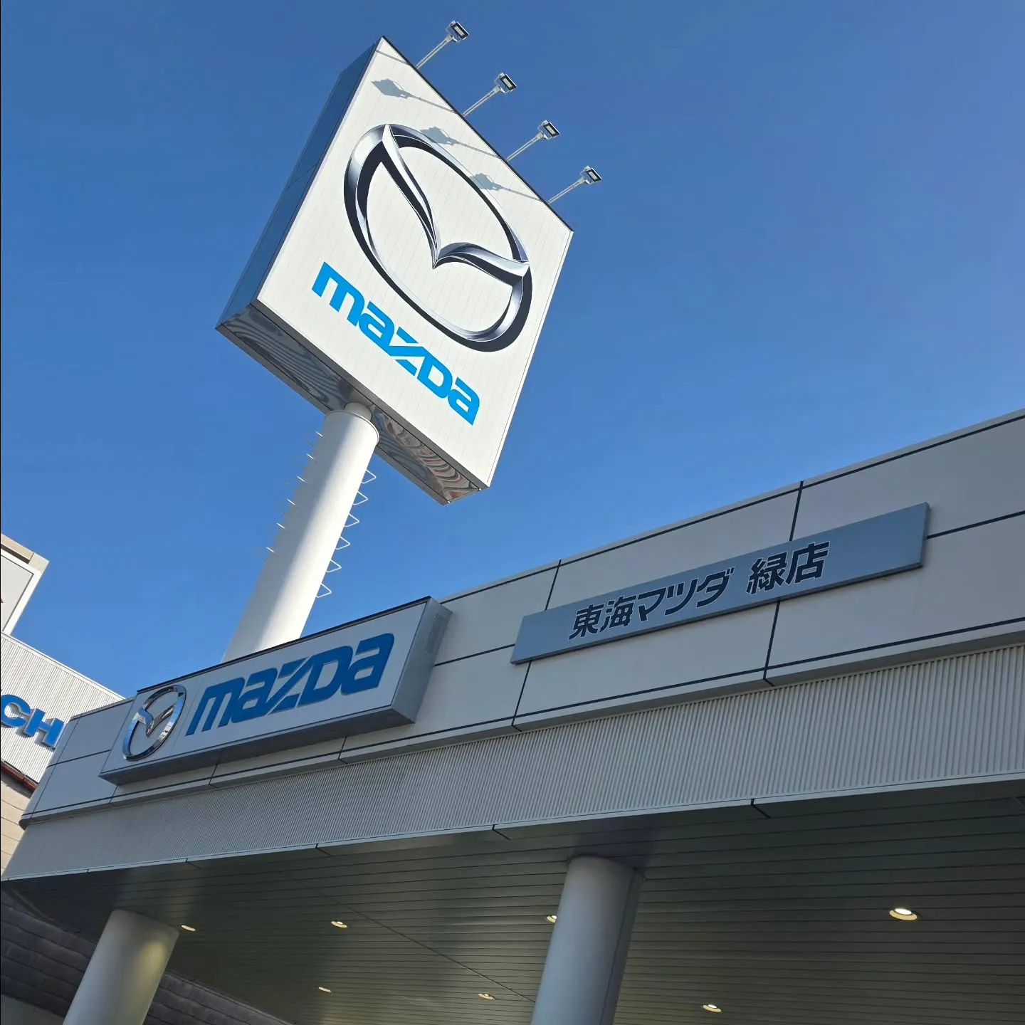 おはようございますー!!!🫶