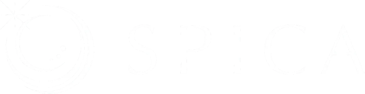 クレープの人気が集まる愛知県で注目キッチンカーの魅力とおすすめトレンド